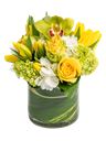 Mix di fiori gialli