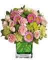 Bouquet di primavera