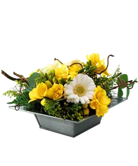 Summer flowers Composizione
