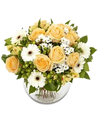 Primavera