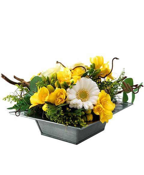Summer flowers