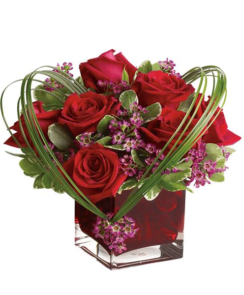 Rose rosse
