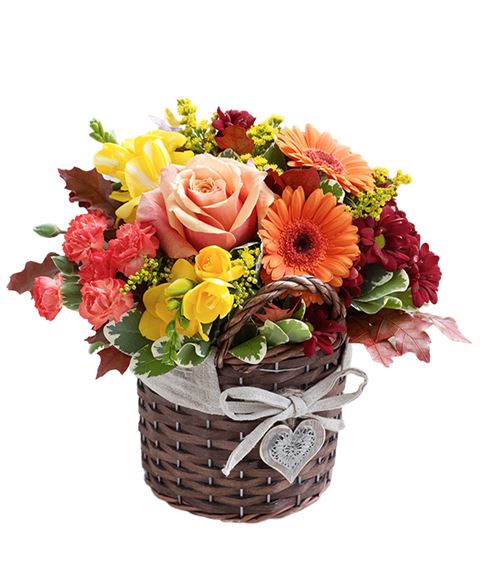 Fiori