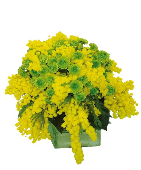 Bouquet