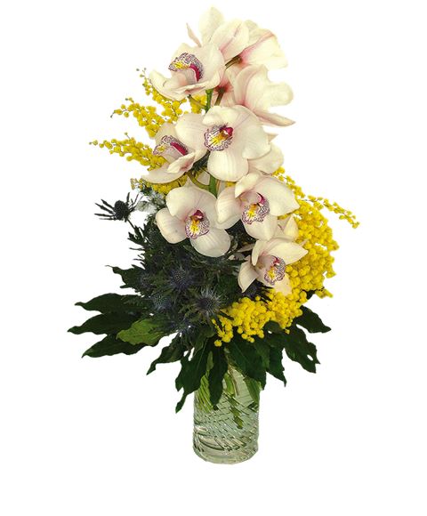 Ramo di orchidea