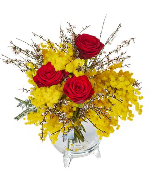 MIMOSA