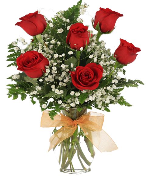 6 Rose