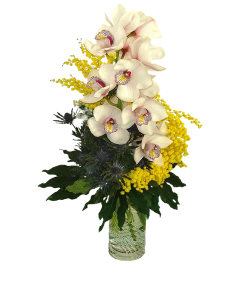 Ramo di orchidea